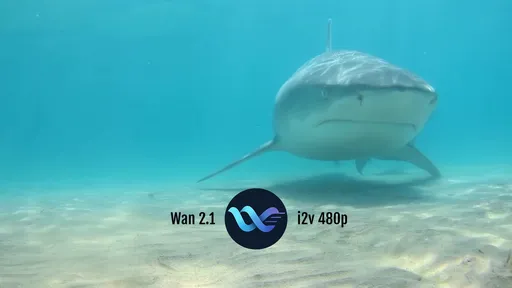 Wan 2.1 I2v 480p